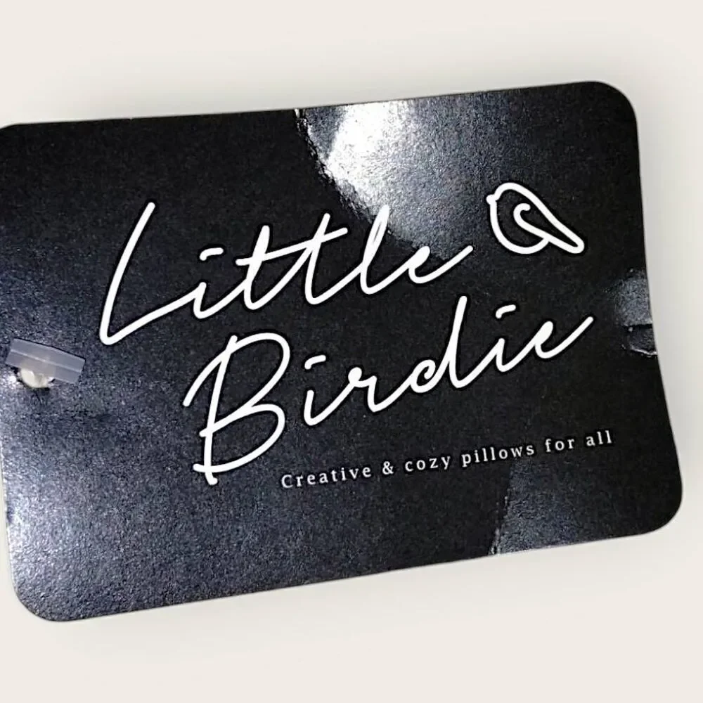 Little Birdie Creative Pillows Home Decor Zip Codes Travel Colorful 20x14 NWT‎